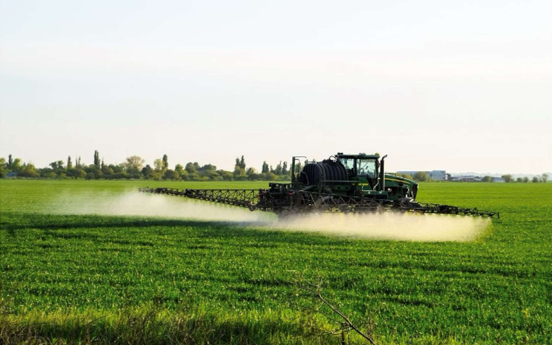 Prix Denis de Rougemont 2025